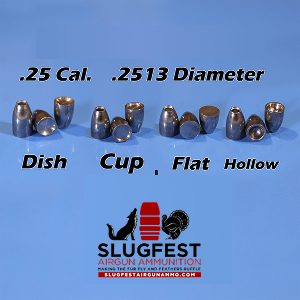 2513 2S Ogive PICK BASE (25 Caliber Slugs) Hollow Point (26 to 62 Grains) 100 count