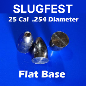 254 2S Ogive FLAT 25 Caliber Slugs – Hollow Point (30 to 48 Grains) 100 count