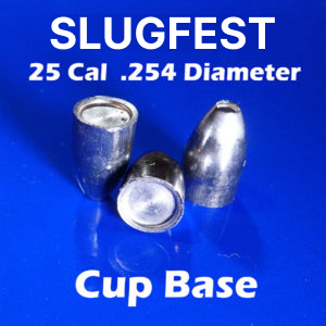 254 2S Ogive CUP 25 Caliber Slugs – Hollow Point (28 to 48 Grains) 100 count